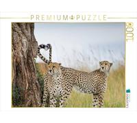 CALVENDO Puzzle Cheetahs 1000 Pieces 64 x 48 cm from Ingo Gerlach