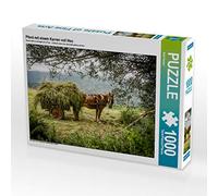 CALVENDO Puzzle Cheval avec Une charrette Pleine de Foin 1000 Pieces 64 x 48 cm from dotmatchbox