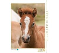 CALVENDO Puzzle Cheval camarguais Poulain 1000 Pieces 48 x 64 cm from Meike Bölts