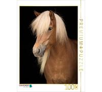 CALVENDO Puzzle Cheval d'Islande 1000 Pieces 48 x 64 cm from Paula Müller