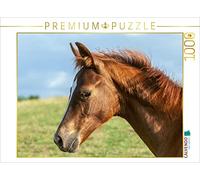 CALVENDO Puzzle Cheval sous Le Ciel Ouvert 1000 Pieces 64 x 48 cm from Margret v Conta