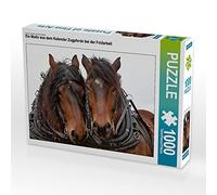 CALVENDO Puzzle Chevaux de Trait Pendant Les travaux des Champs 1000 Pieces 64 x 48 cm from Marion Sixt