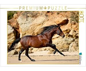 CALVENDO Puzzle Chevaux espagnols Caballos 2017 1000 Pieces 64 x 48 cm from Petra Eckerl
