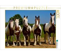 CALVENDO Puzzle Chevaux tsiganes 1000 Pieces 64 x 48 cm from WEH-zet