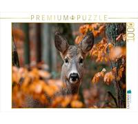 CALVENDO Puzzle Chevreuil dans la forêt d'automne Entre Feuillage Orange | 1000 pièces de Ponte Taille 64 x 48 cm Puzzle Photo pour des Heures heureuses