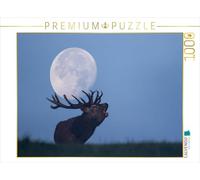CALVENDO Puzzle Chevreuil Rugissant 1000 Pieces 64 x 48 cm from Wilfried Martin