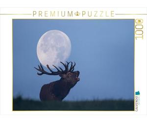CALVENDO Puzzle Chevreuil Rugissant 1000 Pieces 64 x 48 cm from Wilfried Martin
