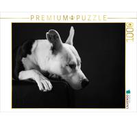 CALVENDO Puzzle Cheyenne American Stafford x Dogo Argentino-Mix, 2 Ans 1000 pièces Taille de la Lege 64 x 48 cm Photo Puzzle Image de Jana Behr