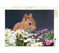 CALVENDO Puzzle Chibs l'écureuil des Fleurs 1000 Pieces 64 x 48 cm from Tine Meier