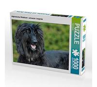 CALVENDO Puzzle Chien Afghan - Jeune Chien Noir 1000 Pieces 64 x 48 cm from Sista-Tierfoto