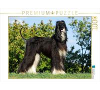 CALVENDO Puzzle Chien Afghan Noir et feu 1000 Pieces 64 x 48 cm from Sista-Tierfoto
