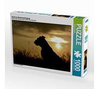 CALVENDO Puzzle Chien au Coucher du Soleil 1000 Pieces 64 x 48 cm from Yvonne Janetzek