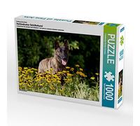 CALVENDO Puzzle Chien de Berger néerlandais 1000 Pieces 64 x 48 cm from Verena Scholze