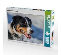 CALVENDO Puzzle Chien de Montagne d'Appenzell 1000 Pieces 64 x 48 cm from SchnelleWelten