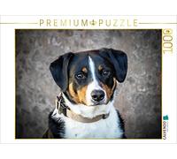 CALVENDO Puzzle Chien de Montagne d'Appenzell 1000 Pieces 64 x 48 cm from SchnelleWelten