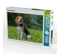 CALVENDO Puzzle Chien de rêve Beagle 1000 Pieces 64 x 48 cm from Sista-Tierfoto