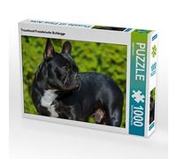 CALVENDO Puzzle Chien de rêve Bouledogue français 1000 Pieces 64 x 48 cm from Sista-Tierfoto