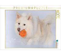 CALVENDO Puzzle Chien islandais dans la Neige 1000 Pieces 64 x 48 cm from Monika Scheurer