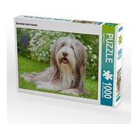 CALVENDO Puzzle Chienne Collie Barbu 1000 Pieces 64 x 48 cm from Sista-Tierfoto