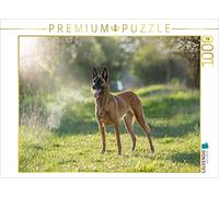 CALVENDO Puzzle Chienne Malinoi du Mecklenburger Rüpeln 1000 Pieces 64 x 48 cm from Martina Wrede