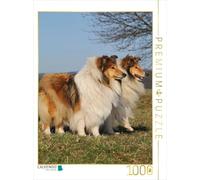 CALVENDO Puzzle Chiennes de Colley-Ball 1000 Pieces 48 x 64 cm from Sista-Tierfoto