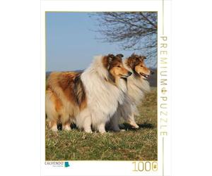 CALVENDO Puzzle Chiennes de Colley-Ball 1000 Pieces 48 x 64 cm from Sista-Tierfoto