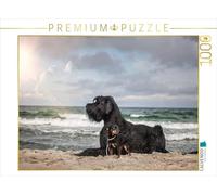 CALVENDO Puzzle Chiens au Bord de la mer 1000 Pieces 64 x 48 cm from Martina Wrede