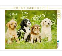 CALVENDO Puzzle Chiens colorés 1000 Pieces 64 x 48 cm from Kathrin Köntopp