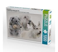 CALVENDO Puzzle Chiens de Berger français 2017 1000 Pieces 64 x 48 cm from Andrea Redecker