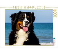 CALVENDO Puzzle Chiens de Montagne Bernois sur la Plage 1000 Pieces 64 x 48 cm from Sista-Tierfoto