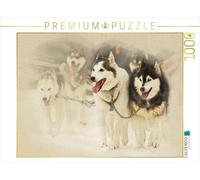 CALVENDO Puzzle Chiens de traîneau 1000 Pieces 64 x 48 cm from Andrea Redecker
