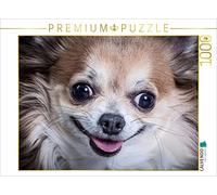 CALVENDO Puzzle Chihuahua Qui rit 1000 Pieces 64 x 48 cm from Oliver Pinkoss
