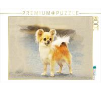 CALVENDO Puzzle Chihuahuas 2017 1000 Pieces 64 x 48 cm from Andrea Redecker