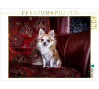 CALVENDO Puzzle Chihuahuas - Cool & Nice 1000 Pieces 64 x 48 cm from Oliver Pinkoss