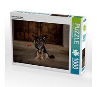 CALVENDO Puzzle Chihuahuas Rose 1000 Pieces 64 x 48 cm from Oliver Pinkoss