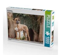 CALVENDO Puzzle Chili (Boxer) 1000 Pieces 64 x 48 cm from Christine Hemlep