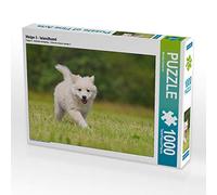 CALVENDO Puzzle Chiot 5 - Chien islandais 1000 Pieces 64 x 48 cm from Monika Scheurer