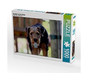 CALVENDO Puzzle Chiot Airedale Terrier 1000 Pieces 64 x 48 cm from Martina Berg
