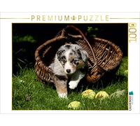 CALVENDO Puzzle Chiot Berger Australien 1000 Pieces 64 x 48 cm from Martina Berg