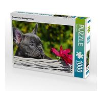 CALVENDO Puzzle Chiot Bouledogue français 1000 Pieces 64 x 48 cm from Sista-Tierfoto