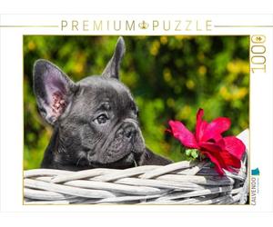 CALVENDO Puzzle Chiot Bouledogue français 1000 Pieces 64 x 48 cm from Sista-Tierfoto