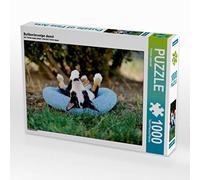 CALVENDO Puzzle Chiot Bull Terrier 1000 Pieces 64 x 48 cm from Yvonne Janetzek