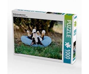 CALVENDO Puzzle Chiot Bull Terrier 1000 Pieces 64 x 48 cm from Yvonne Janetzek