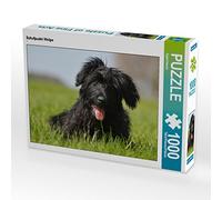 CALVENDO Puzzle Chiot Caniche Mouton 1000 Pieces 64 x 48 cm from Sista-Tierfoto