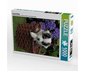CALVENDO Puzzle Chiot d'Aussie 1000 Pieces 48 x 64 cm from Antje Lindert-Rottke