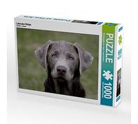 CALVENDO Puzzle Chiot du Labrador 1000 Pieces 64 x 48 cm from Martina Berg