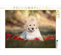CALVENDO Puzzle Chiot Hovawart 1000 Pieces 64 x 48 cm from Ulla Moswald