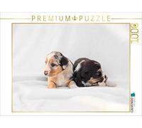 CALVENDO Puzzle Chiots Border 1000 Pieces 64 x 48 cm from Hermann Greiling