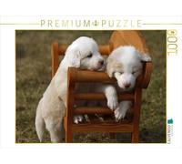CALVENDO Puzzle Chiots Border Collie 1000 Pieces 64 x 48 cm from Antje Lindert-Rottke