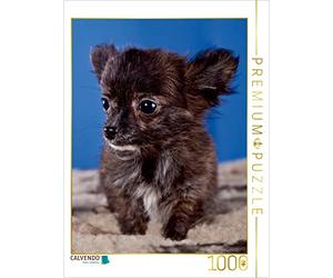 CALVENDO Puzzle Chiots Chihuahua 1000 Pieces 48 x 64 cm from WEH-zet